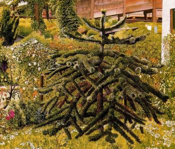 斯坦利 斯賓塞 The Monkey Puzzle - Whitehouse - Northern Ireland 斯坦利 斯賓塞 The Monkey Puzzle - Whitehouse - Northern Ireland